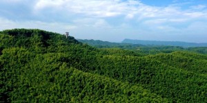 计划到2027年产值突破560亿元，泸州正加强这一产业链建设