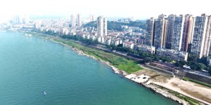 岩原鲤、胭脂鱼…19.5万余尾珍稀鱼种跃入长江，纳溪增殖放流护生态平衡