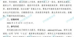您的 “金点子” 很重要！泸州 “十五五” 教育规划邀您献策