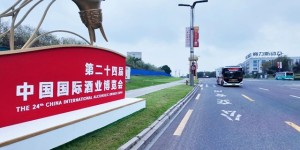 “2条直达公交线路+20条常规公交线路”助您轻松逛酒博会