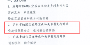 纳溪区上榜全省典型案例名单！这份纳溪答卷您打几分？