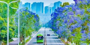 必看！泸州酒要会·超级银河左岸音乐节“保姆级”攻略请收好→