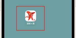 预告！本周末“泸超”小组赛在泸职校开赛 免费观赛预约今日开启