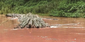 水位陡涨，8吨竹料“出逃”！泸州执法队员急追截