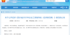 事关你的工资！四川正在公开征求意见→