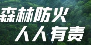 古蔺县人民政府2025年森林禁火令