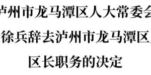 泸州市龙马潭区人大常委会关于接受徐兵辞去泸州市龙马潭区人民政府区长职务的决定