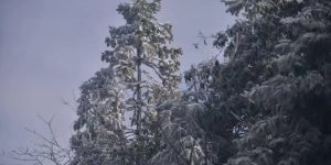 最低温零下2.5℃｜泸州本轮寒潮结束，未来几天阳光控场