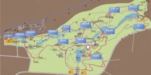 张坝桂圆林即将升级！三大亮点抢先看→