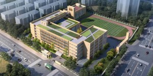 泸州这个区域规划建设中、小学，分别位于……
