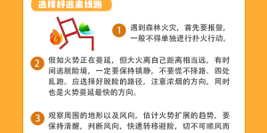 违规野外用火要遭起！四川公布4起被处罚典型案例