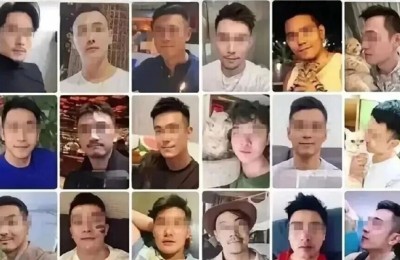 泸州两女子被骗48万……（恋爱人未见，光是投资了）