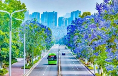 必看！泸州酒要会·超级银河左岸音乐节“保姆级”攻略请收好→